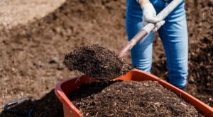 komposztálás menete